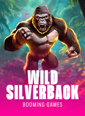 Wild Silverback