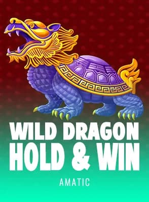 Wild Dragon Hold & Win