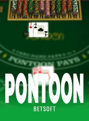 Pontoon 21