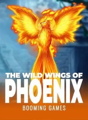 The Wild Wings of Phoenix